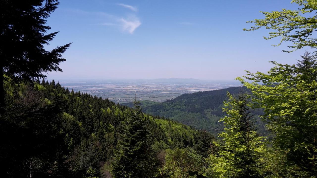 Hotel Schwarzmatt Badenweiler Zewnętrze zdjęcie
