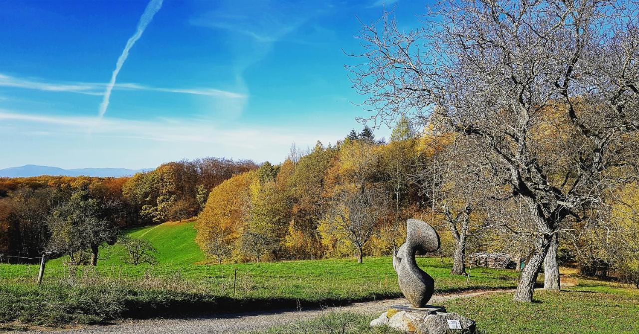 Hotel Schwarzmatt Badenweiler Zewnętrze zdjęcie